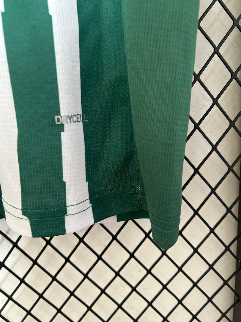 Camisa do Palmeiras 25/26 Versão Especial