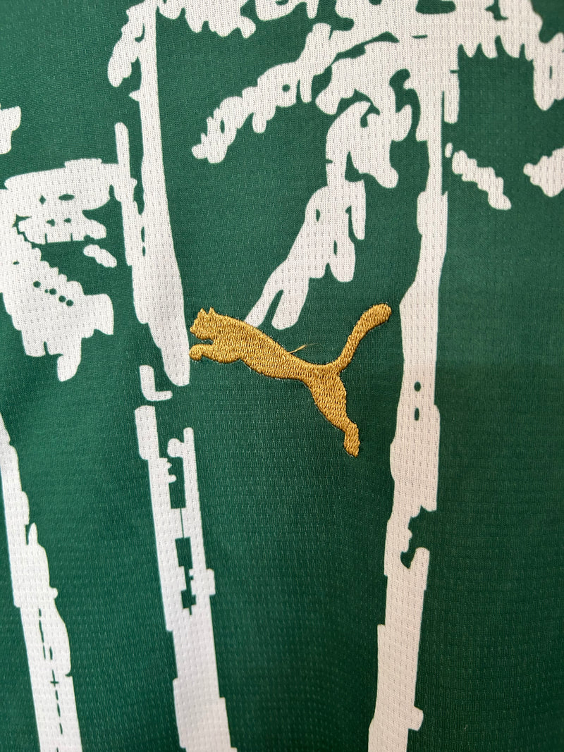 Camisa do Palmeiras 25/26 Versão Especial