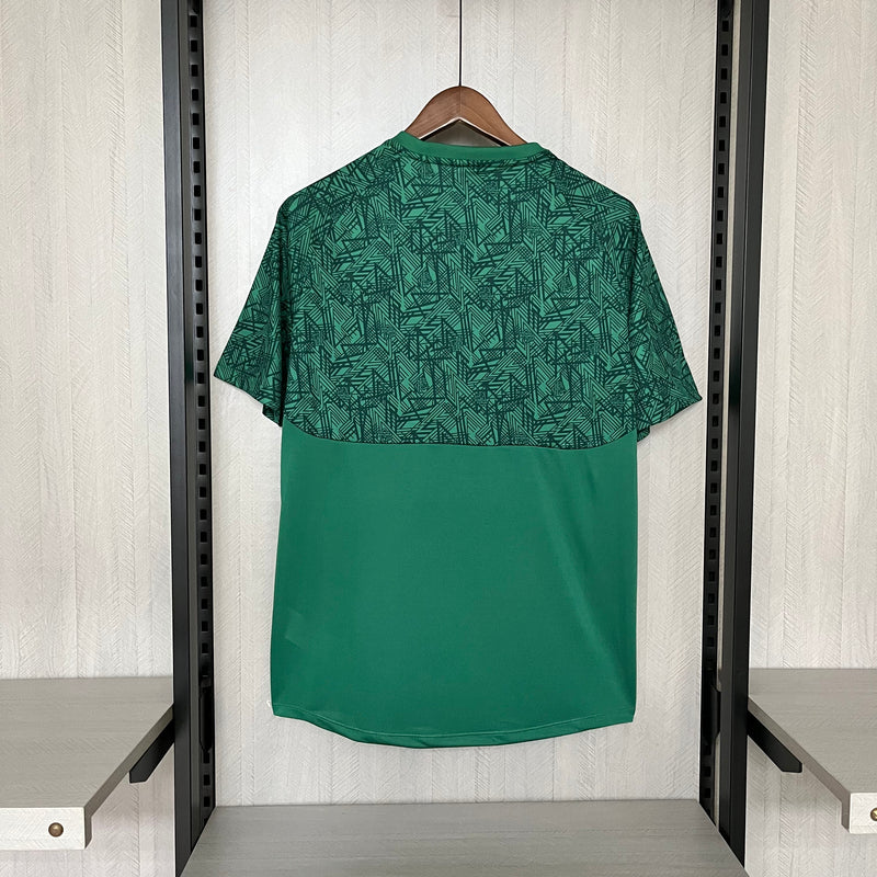 CAMISA FLUMINENSE 24/25 TORCEDOR - VERDE